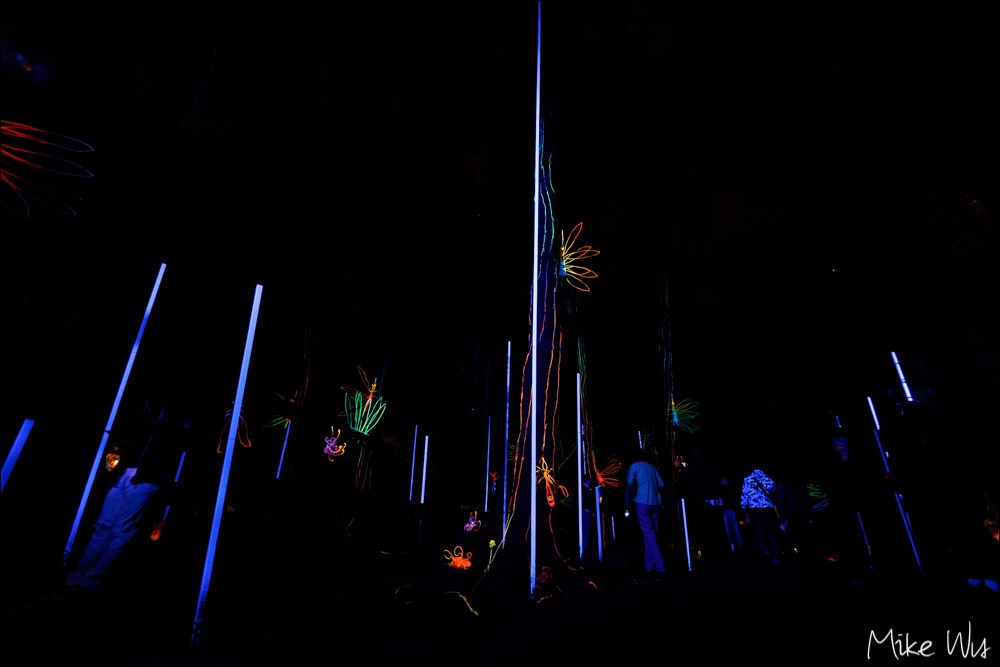 【遊記】2021 龍崎光節：空山祭「惡地伏流」，在光影間找尋復甦契機 @麥克Wu的生活攝影札記