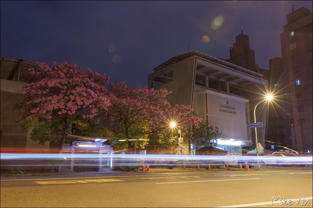 【遊記】台南大光國小公車站旁洋紅風鈴木，美得不像話的公車候車亭 @麥克Wu的生活攝影札記